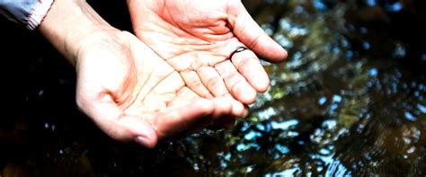  La pulce d'acqua – Un brano malinconico e spensierato che riecheggia la vita rurale di un tempo